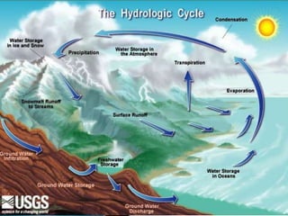 BITS Edu CampusProf. Ankit Patel
 