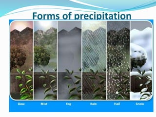 Forms of precipitation
BITS Edu Campus Prof. Ankit Patel
 