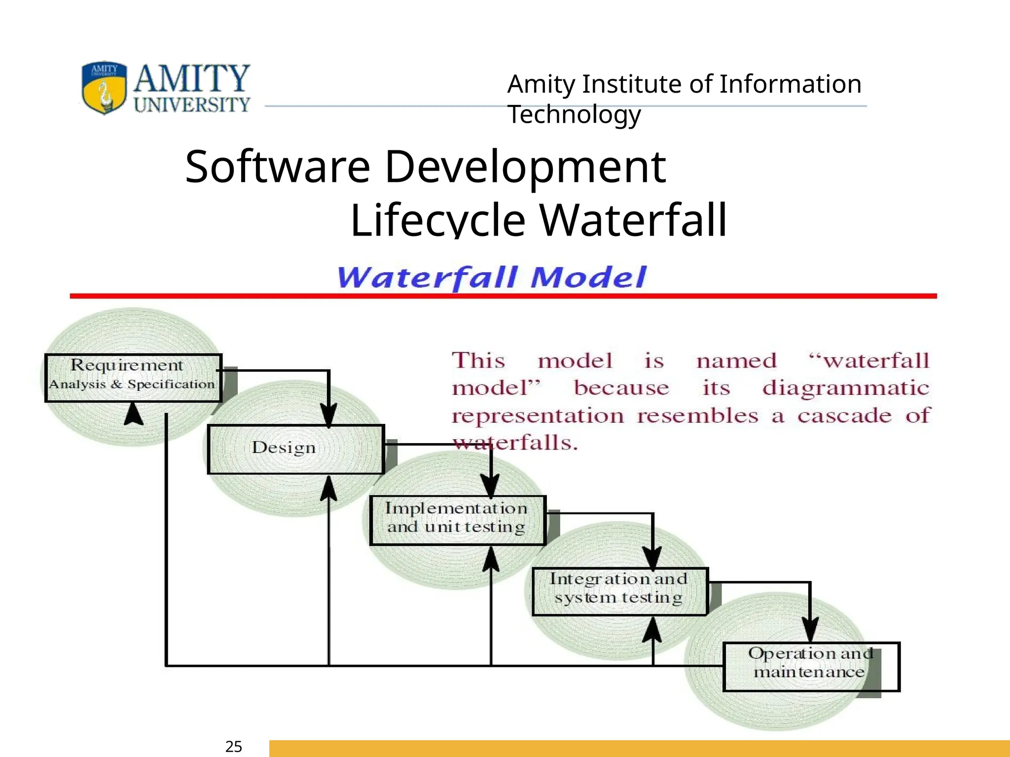 04/06/2025
Amity Institute of Information
Technology
Software Development
Lifecycle Waterfall
Model
25
 