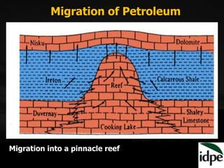Migration of Petroleum
Migration into a pinnacle reef
 