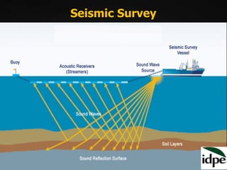 Seismic Survey
 