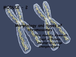 MODULE - 2
Morphology and types of
chromosomes
Pillai Aswathy Viswanath
Dept.of Botany
Assumption college
Chenganacherry
 