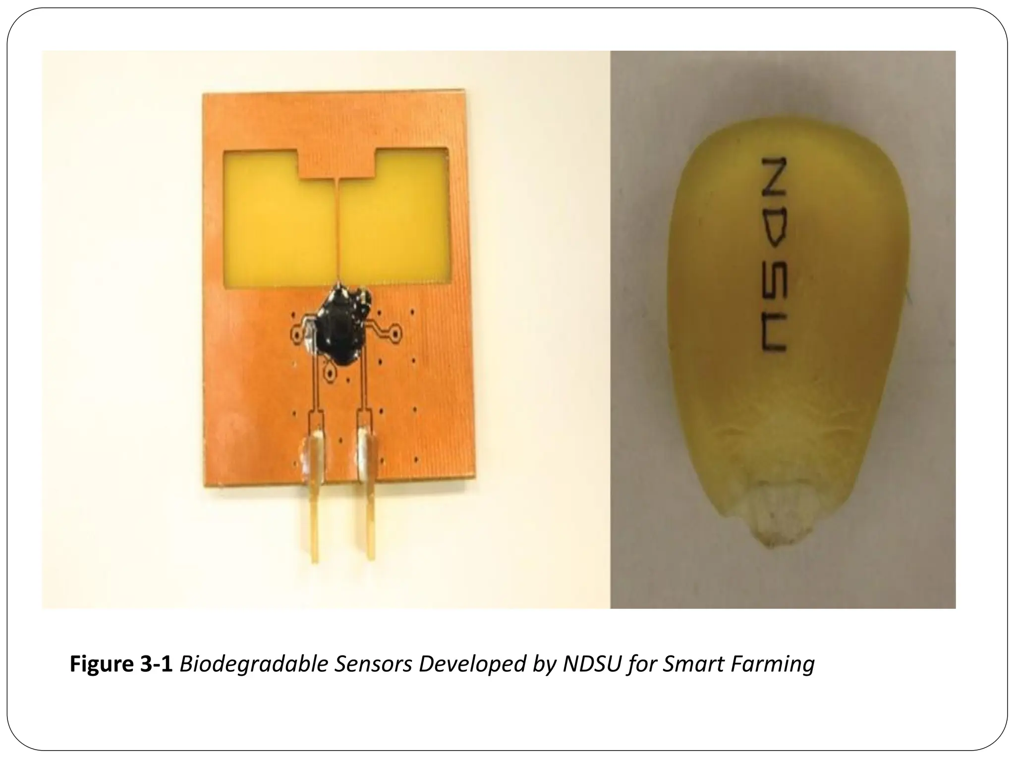 Figure 3-1 Biodegradable Sensors Developed by NDSU for Smart Farming
 