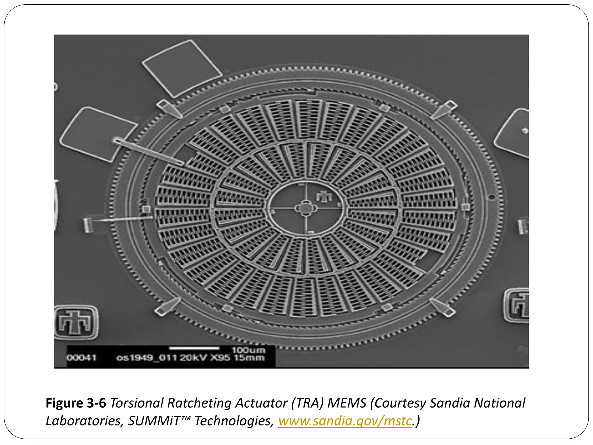 Figure 3-6 Torsional Ratcheting Actuator (TRA) MEMS (Courtesy Sandia National
Laboratories, SUMMiT™ Technologies, www.sandia.gov/mstc.)
 