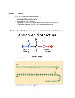 Protein Lesson The Structure and Functions of Water and Biological Macromolecules in ...