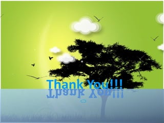 Thank You!!!
Thank You!!!
 