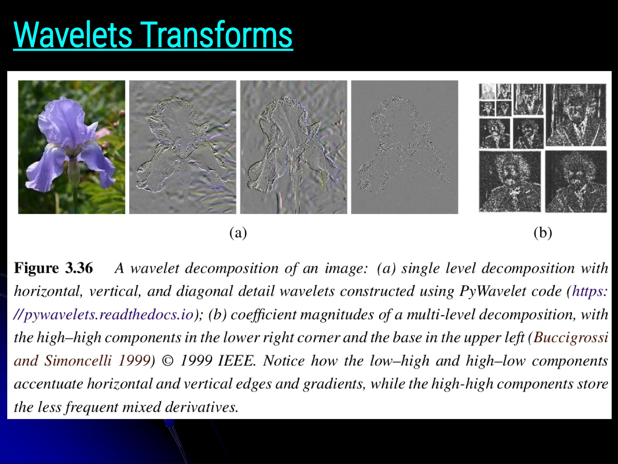 Wavelets Transforms 