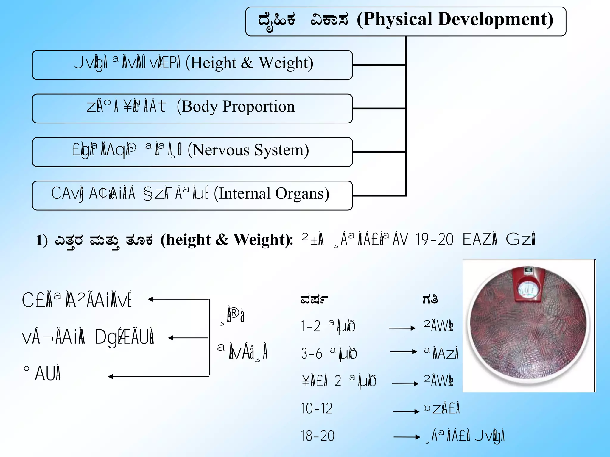zÉÊ»PÀ «PÁ¸À (Physical Development)
JvÀÛgÀ ªÀÄvÀÄÛ vÀÆPÀ (Height & Weight)
zÉÃºÀ ¥ÀæªÀiÁt (Body Proportion
£ÀgÀªÀÄAqÀ® ªÀåªÀ¸ÉÜ (Nervous System)
CAvÀjA¢æAiÀiÁ §zÀ¯ÁªÀuÉ (Internal Organs)
1) JvÀÛgÀ ªÀÄvÀÄÛ vÀÆPÀ (height & Weight): ²±ÀÄ ¸ÁªÀiÁ£ÀåªÁV 19-20 EAZÀÄ GzÀÝ
C£ÀÄªÀA²ÃAiÀÄvÉ
vÁ¬ÄAiÀÄ DgÉÆÃUÀå
°AUÀ
ªÀµÀð UÀw
1-2 ªÀµÀð ²ÃWÀæ
3-6 ªÀµÀð ªÀÄAzÀ
¥ÀÄ£À: 2 ªÀµÀð ²ÃWÀæ
10-12 ¤zsÁ£À
18-20 ¸ÁªÀiÁ£Àå JvÀÛgÀ
¸Àé®à
ªÀåvÁå¸À
 