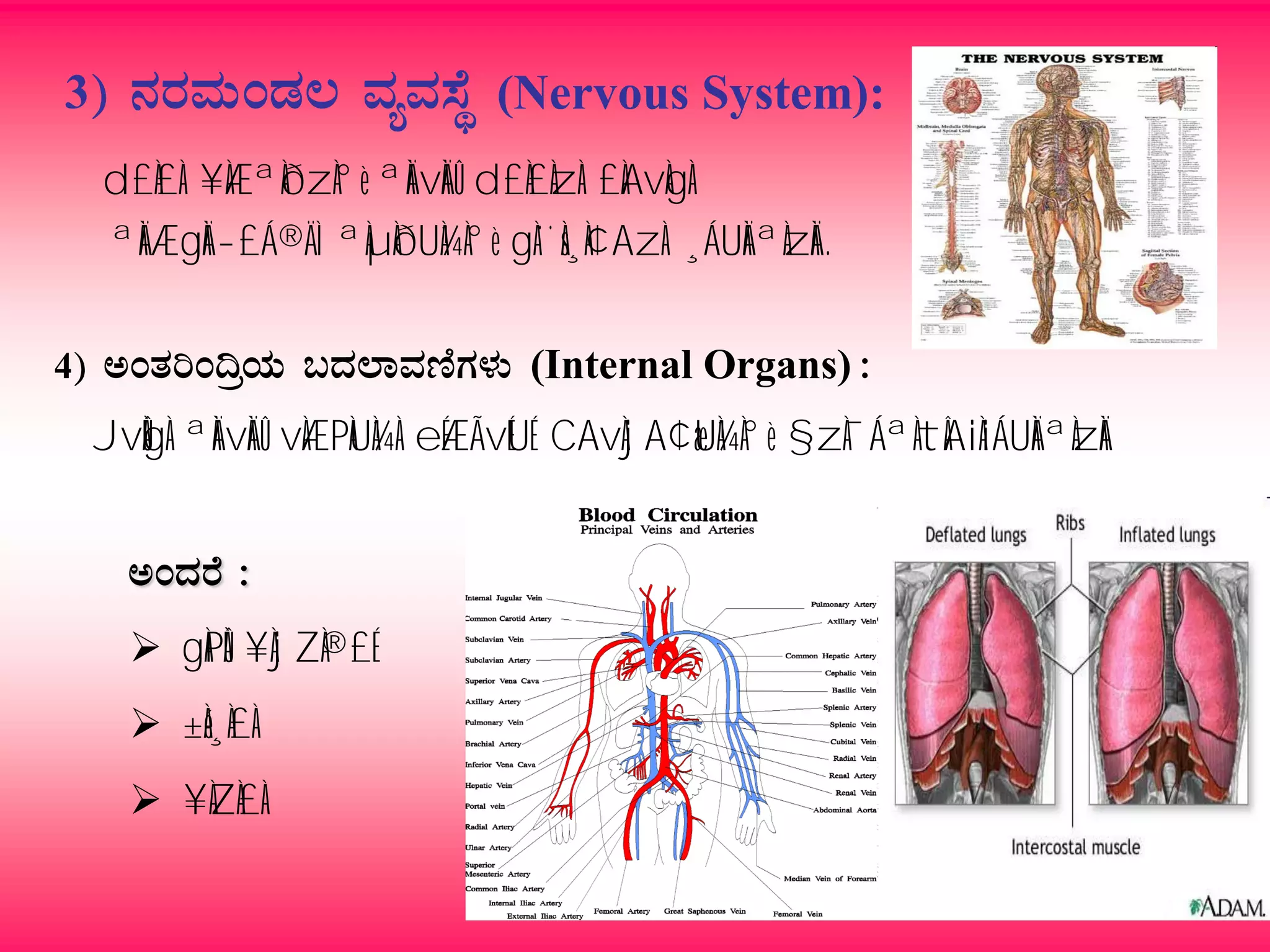 3) £ÀgÀªÀÄAqÀ® ªÀåªÀ¸ÉÜ (Nervous System):
d£À£À ¥ÀÆªÀðzÀ°è ªÀÄvÀÄÛ d£À£ÀzÀ £ÀAvÀgÀ
ªÀÄÆgÀÄ-£Á®ÄÌ ªÀµÀðUÀ¼À°è gÀ¨sÀ¸À¢AzÀ ¸ÁUÀÄªÀzÀÄ.
4) CAvÀjA¢æAiÀÄ §zÀ¯ÁªÀtÂUÀ¼ÀÄ (Internal Organs) :
JvÀÛgÀ ªÀÄvÀÄÛ vÀÆPÀUÀ¼À eÉÆÃvÉUÉ CAvÀjA¢æUÀ¼À°è §zÀ¯ÁªÀtÂAiÀiÁUÀÄªÀzÀÄ
CAzÀgÉ :
 gÀPÀÛ ¥ÀjZÀ®£É
 ±Àé¸À£À
 ¥ÀZÀ£À
 