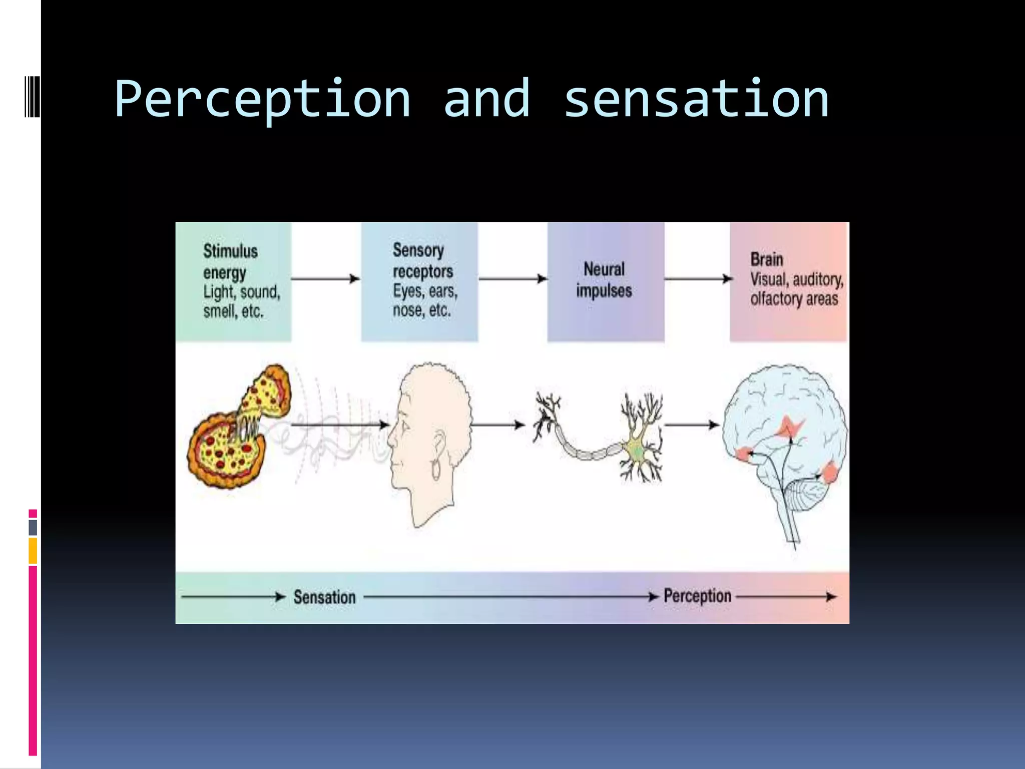 Perception and sensation
 