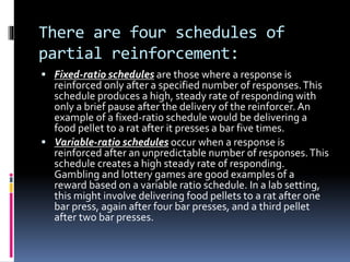 Module 2 perception and learning | PPTX