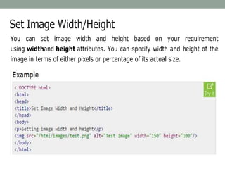 Set Image Width/Height
You can set image width and height based on your requirement
using widthand height attributes. You can specify width and height of the
image in terms of either pixels or percentage of its actual size.
 