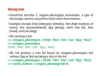 Comprehensive Guide to Python Lists: Storage, Access, and Modification ...