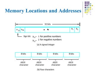 Memory Locations and Addresses
(b) Four characters
ASCII
character
ASCII
character
ASCII
character
ASCII
character
(a) A signed integer
Sign bit: 1 for positive numbers
2 for negative numbers
32 bits
8 bits 8 bits 8 bits 8 bits
b31=
b31=
•
b 31
b30
•
•
b1 b0
 