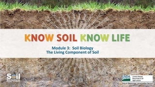 Module 3: Soil Biology
The Living Component of Soil
 