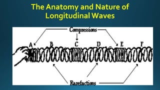 The Anatomy and Nature of
Longitudinal Waves
 