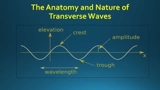 The Anatomy and Nature of
Transverse Waves
 