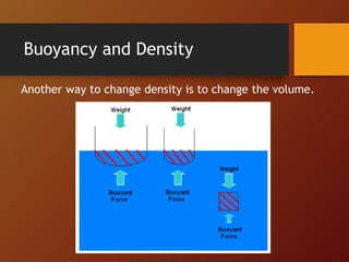 Buoyancy and Density
Another way to change density is to change the volume.
 