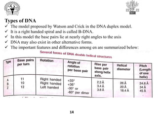 14
Types of DNA
 The model proposed by Watson and Crick in the DNA duplex model.
 It is a right handed spiral and is called B-DNA.
 In this model the base pairs lie at nearly right angles to the axis
 DNA may also exist in other alternative forms.
 The important features and differences among en are summarized below:
 