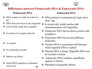 Differences between Prokaryotic DNA & Eukaryotic DNA
Prokaryotic DNA
 DNA content is small, less than 0.1
pg.
 DNA does not occur in any organelle
 It lies freely inside the cytoplasm
 It consists of a single molecule.
 It is naked.
 It is generally circular.
 Introns are absent.
 Small DNA segments or plasmids
may occur.
Eukaryotic DNA
 DNA content is comparatively high, more
than 1 pg.
 It occurs only inside nucleus and
semiautonomous cell organelles.
 Eukaryotic DNA has no direct contact with
cytoplasm
 Eukaryotic DNA has several different
molecules.
 Nuclear DNA is associated with histones
while organelle DNA is naked.
 Nuclear DNA is linear. Organelle DNA can
be circular or linear.
 Eukaryotic DNA contains superfluous
regions or introns
 Plasmids are generally absent.
15
 