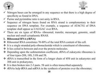  Nitrogen bases can be arranged in any sequence so that there is a high degree of
specificity as found in DNA.
 Purine and pyrimidine ratio is not unity in RNA.
 Sequence of nitrogen bases found on RNA strand is complementary to their
sequence on DNA template. For example, a sequence of ATACTG of DNA
template shall appear as UAUGAC over RNA.
 There are six types of RNAs- ribosomal, transfer, messenger, genomic, small
nuclear and small cytoplasmic RNAS.
1. Ribosomal RNA (rRNA)
 Ribosomal RNA constitutes 70-80% of the total RNA content of the cell.
 It is a single stranded poly-ribonucleotide which is constituent of ribosomes.
 It lies coiled in between and over the protein molecules.
 Depending upon the sedimentation coefficient, rRNA of eukaryotic ribosomes is
of four types-28S, 18S, 5.8S and 5S.
 rRNA is transcribed in the form of a longer chain of 45S unit in eukaryotes and
30S unit in prokaryotes.
 It is then broken into 2-3 parts. 5S unit is often transcribed separately.
 rRNAs help tRNA and mRNA in the synthesis of proteins over the ribosomes.
18
 