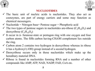 2
NUCLEOTIDES
 The basic unit of nucleic acids is nucleotides. They also act as
coenzymes, are part of energy carriers and some may function as
chemical messengers.
 Nucleotide = Nitrogen base+ Pentose sugar + Phosphoric acid
 The two types of pentose sugars in nucleotides are-ribose (C5H10O5) and
deoxyribose (C5H10O4)
 It occur in à- furanose-state or pentagon ring with one oxygen and four
carbon atoms. The fifth carbon having-CH₂OH complement lies outside
the ring.
 Carbon atom 2 contains two hydrogen in deoxyribose whereas in ribose
it has a hydroxyl (-OH) group instead of a second hydrogen.
 Deoxyribose occurs only in those nucleotides which make up the
hereditary material DNA.
 Ribose is found in nucleotides forming RNA and a number of other
compounds like AMP, ATP, NAD, NADP, FAD, CoA etc.
 