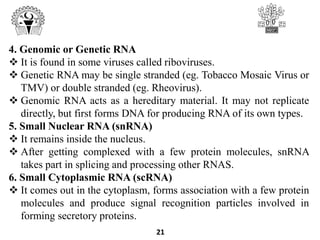 4. Genomic or Genetic RNA
 It is found in some viruses called riboviruses.
 Genetic RNA may be single stranded (eg. Tobacco Mosaic Virus or
TMV) or double stranded (eg. Rheovirus).
 Genomic RNA acts as a hereditary material. It may not replicate
directly, but first forms DNA for producing RNA of its own types.
5. Small Nuclear RNA (snRNA)
 It remains inside the nucleus.
 After getting complexed with a few protein molecules, snRNA
takes part in splicing and processing other RNAS.
6. Small Cytoplasmic RNA (scRNA)
 It comes out in the cytoplasm, forms association with a few protein
molecules and produce signal recognition particles involved in
forming secretory proteins.
21
 