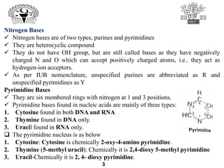 3
Nitrogen Bases
 Nitrogen bases are of two types, purines and pyrimidines
 They are heterocyclic compound
 They do not have OH group, but are still called bases as they have negatively
charged N and O which can accept positively charged atoms, i.e.. they act as
hydrogen-ion acceptors.
 As per IUB nomenclature, unspecified purines are abbreviated as R and
unspecified pyrimidines as Y
Pyrimidine Bases
 They are six membered rings with nitrogen at 1 and 3 positions.
 Pyrimidine bases found in nucleic acids are mainly of three types:
1. Cytosine found in both DNA and RNA
2. Thymine found in DNA only.
3. Uracil found in RNA only.
 The pyrimidine nucleus is as below
1. Cytosine: Cytosine is chemically 2-oxy-4-amino pyrimidine.
2. Thymine (5-methyl uracil): Chemically it is 2,4-dioxy 5-methyl pyrimidine
3. Uracil-Chemically it is 2, 4- dioxy pyrimidine.
 