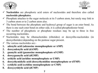 7
 Nucleotides are phosphoric acid esters of nucleosides and therefore also called
nucleoside phosphates.
 Phosphate attaches to the sugar molecule at its 5 carbon atom, but rarely may link to
3 carbon atom or to 2 carbon atom also.
 The bond between the phosphate and hydroxyl group of sugar is an ester bond. As
there is one such ester bond on either side, it is called phosphodiester bond.
 The number of phosphoric or phosphate residues may be up to three in free
occurring nucleotides.
 Nucleotides may be ribonucleotides (ribotides) or deoxyribo-nucleotides (in
deoxyribotides) depending on the pentose sugar present.
 The various nucleotides are:-
1. adenylic acid (adenosine monophosphate or AMP)
2. deoxyadenylic acid (dAMP)
3. guanylic acid (guanosine monophosphate of GMP)
4. deoxyguanylic acid (dGMP)
5. uridylic acid (uridine monophosphate or UMP)
6. deoxythymidylic acid (deoxythymidine monophosphate or dTMP)
7. cytidylic acid (cytidine monophosphate or CMP)
8. deoxycytidylic acid (dCMP)
 
