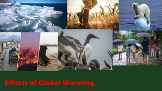 Effects of Global Warming
 