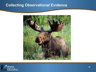 Module-4-Powerpoint.pptx