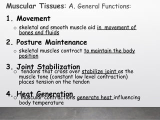 Comprehensive Overview of Muscular Tissue Types and Functions | PDF