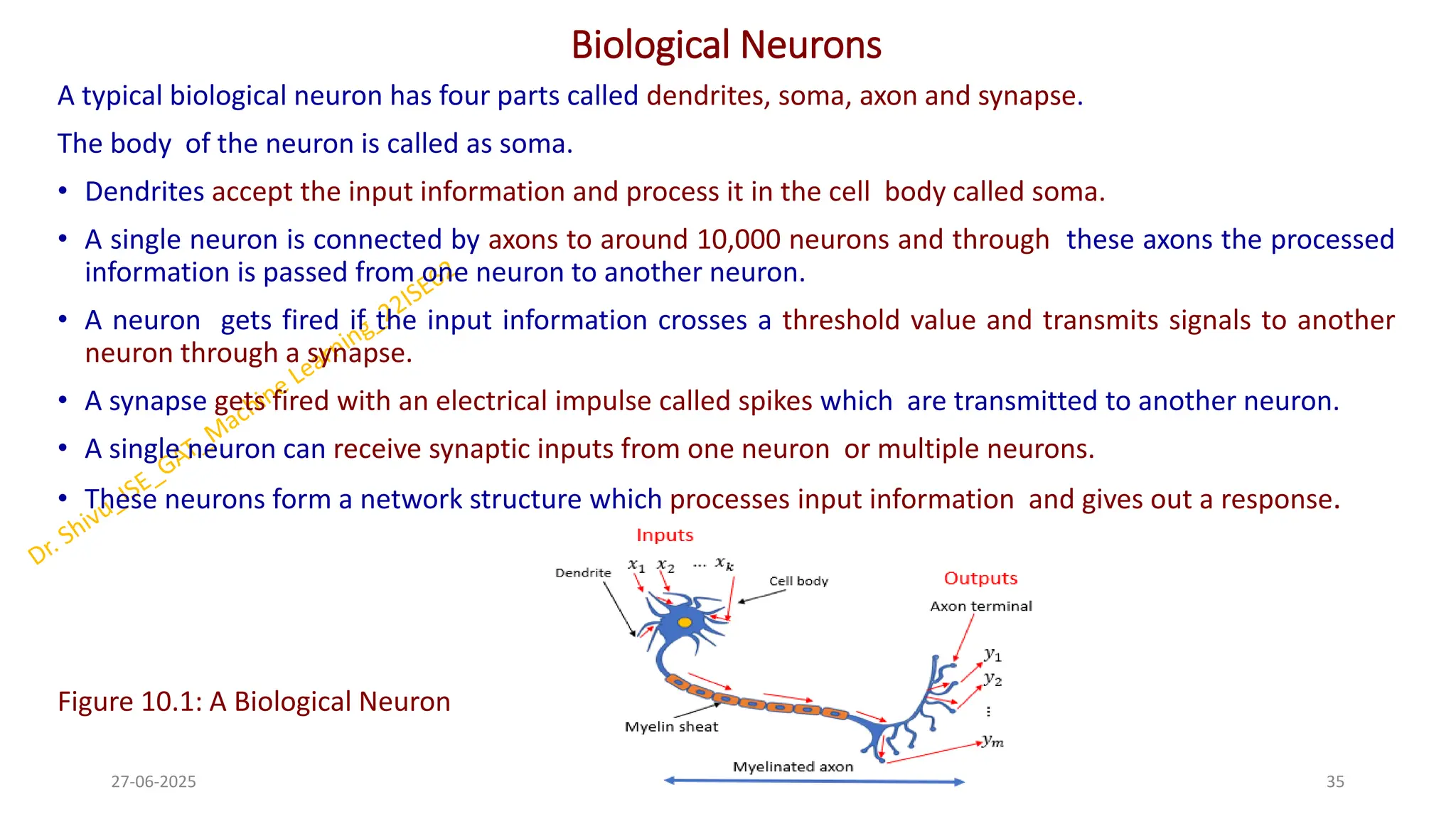 Biological Neurons
A typical biological neuron has four parts called dendrites, soma, axon and synapse.
The body of the neuron is called as soma.
• Dendrites accept the input information and process it in the cell body called soma.
• A single neuron is connected by axons to around 10,000 neurons and through these axons the processed
information is passed from one neuron to another neuron.
• A neuron gets fired if the input information crosses a threshold value and transmits signals to another
neuron through a synapse.
• A synapse gets fired with an electrical impulse called spikes which are transmitted to another neuron.
• A single neuron can receive synaptic inputs from one neuron or multiple neurons.
• These neurons form a network structure which processes input information and gives out a response.
Figure 10.1: A Biological Neuron
27-06-2025 35
Dr. Shivashankar-ISE-GAT
 
