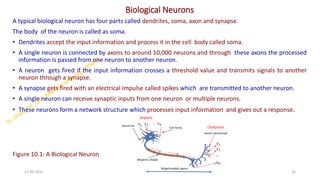 Biological Neurons
A typical biological neuron has four parts called dendrites, soma, axon and synapse.
The body of the neuron is called as soma.
• Dendrites accept the input information and process it in the cell body called soma.
• A single neuron is connected by axons to around 10,000 neurons and through these axons the processed
information is passed from one neuron to another neuron.
• A neuron gets fired if the input information crosses a threshold value and transmits signals to another
neuron through a synapse.
• A synapse gets fired with an electrical impulse called spikes which are transmitted to another neuron.
• A single neuron can receive synaptic inputs from one neuron or multiple neurons.
• These neurons form a network structure which processes input information and gives out a response.
Figure 10.1: A Biological Neuron
27-06-2025 35
Dr. Shivashankar-ISE-GAT
 