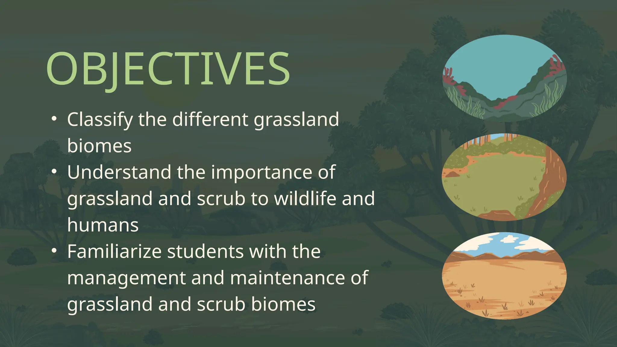 Ecosystem: Importance of Grassland and Scrub | PPTX