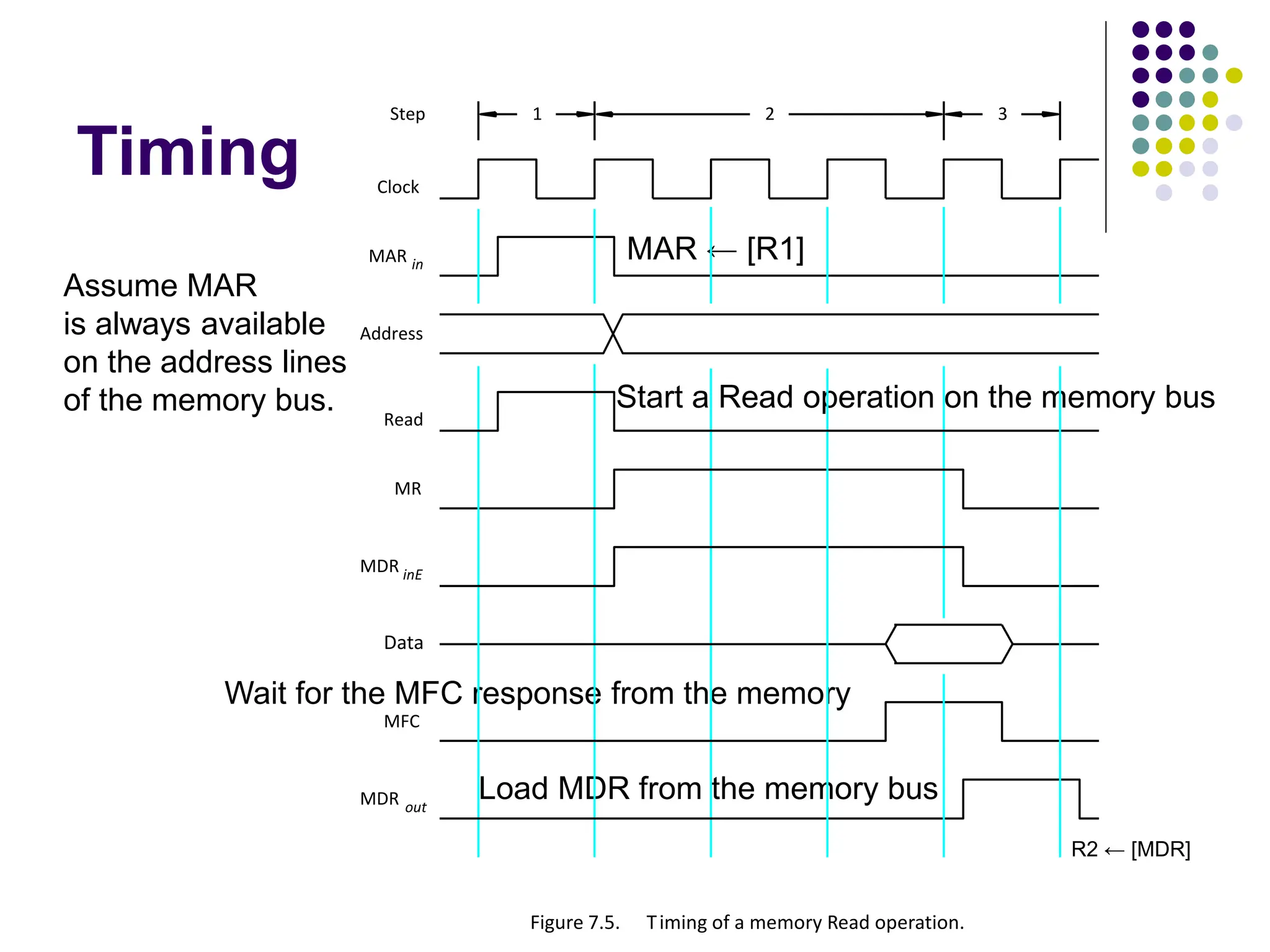 Timing
Assume MAR
is always available
on the address lines
of the memory bus.
R2 ← [MDR]
MAR ← [R1]
Start a Read operation on the memory bus
Wait for the MFC response from the memory
Load MDR from the memory bus
Figure 7.5. Timing of a memory Read operation.
1 2
Clock
Address
MR
Data
MFC
Read
MDR inE
MDR out
Step 3
MAR in
 