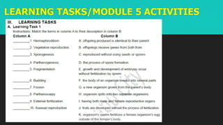 LEARNING TASKS/MODULE 5 ACTIVITIES
 