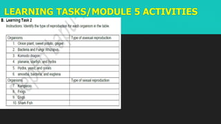 LEARNING TASKS/MODULE 5 ACTIVITIES
 