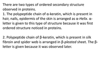 Spider Roteils Module-6-Proteins.pdf