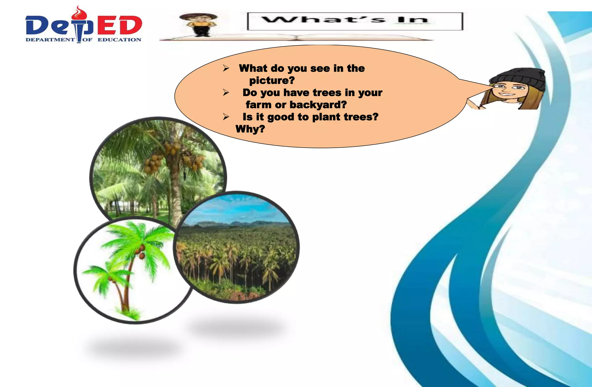  What do you see in the
picture?
 Do you have trees in your
farm or backyard?
 Is it good to plant trees?
Why?
 