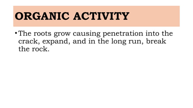 The Module-7-The Exogenic-Processes.pptx