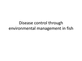 Disease control through
environmental management in fish
 