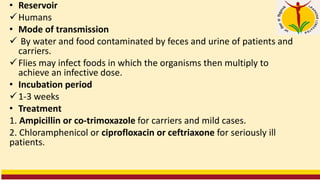 • Reservoir
✓Humans
• Mode of transmission
✓ By water and food contaminated by feces and urine of patients and
carriers.
✓Flies may infect foods in which the organisms then multiply to
achieve an infective dose.
• Incubation period
✓1-3 weeks
• Treatment
1. Ampicillin or co-trimoxazole for carriers and mild cases.
2. Chloramphenicol or ciprofloxacin or ceftriaxone for seriously ill
patients.
 