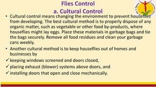 Flies Control
a. Cultural Control
• Cultural control means changing the environment to prevent houseflies
from developing. The best cultural method is to properly dispose of any
organic matter, such as vegetable or other food by-products, where
houseflies might lay eggs. Place these materials in garbage bags and tie
the bags securely. Remove all food residues and clean your garbage
cans weekly.
• Another cultural method is to keep houseflies out of homes and
businesses by
✓keeping windows screened and doors closed,
✓placing exhaust (blower) systems above doors, and
✓installing doors that open and close mechanically.
 