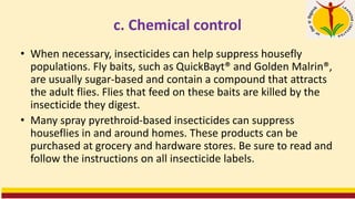 c. Chemical control
• When necessary, insecticides can help suppress housefly
populations. Fly baits, such as QuickBayt® and Golden Malrin®,
are usually sugar-based and contain a compound that attracts
the adult flies. Flies that feed on these baits are killed by the
insecticide they digest.
• Many spray pyrethroid-based insecticides can suppress
houseflies in and around homes. These products can be
purchased at grocery and hardware stores. Be sure to read and
follow the instructions on all insecticide labels.
 