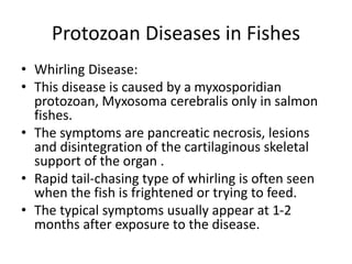 Protozoa In Fish Module-V- Fish n shellfish -23.5.22.pptx