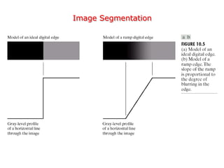 Image Segmentation
 