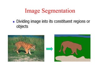 Image Segmentation
 