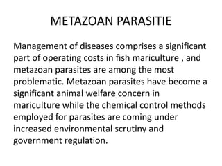 METAZOAN PARASITIE
Management of diseases comprises a significant
part of operating costs in fish mariculture , and
metazoan parasites are among the most
problematic. Metazoan parasites have become a
significant animal welfare concern in
mariculture while the chemical control methods
employed for parasites are coming under
increased environmental scrutiny and
government regulation.
 