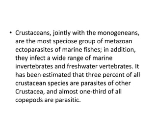 • Crustaceans, jointly with the monogeneans,
are the most speciose group of metazoan
ectoparasites of marine fishes; in addition,
they infect a wide range of marine
invertebrates and freshwater vertebrates. It
has been estimated that three percent of all
crustacean species are parasites of other
Crustacea, and almost one-third of all
copepods are parasitic.
 